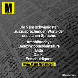 Die 5 am schwierigsten auszusprechenden Worte der deutschen Sprache:

Amphibrachys
Desoxyribonukleinsäure
Bitte
Danke
En