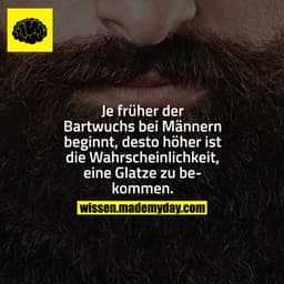 Je früher der Bartwuchs bei Männern beginnt, desto höher ist die Wahrscheinlichkeit, eine Glatze zu bekommen.