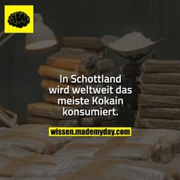 In Schottland wird weltweit das meiste Kokain konsumiert.