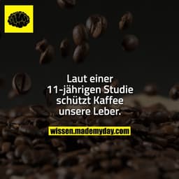 Laut einer 11-jährigen Studie schützt Kaffee unsere Leber.