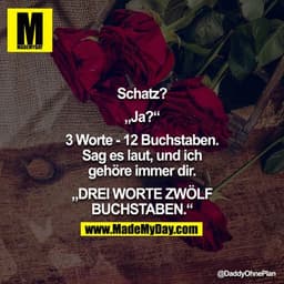 Schatz?

"Ja?"

3 Worte - 12 Buchstaben. Sag es laut, und ich gehöre immer dir.

"DREI WORTE ZWÖLF BUCHSTABEN."