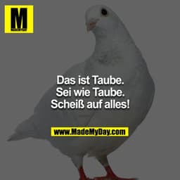 Das ist Taube.
Sei wie Taube.
Scheiß auf alles!