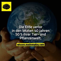 Die Erde verlor in den letzten 40 Jahren 50 % ihrer Tier- und Pflanzenwelt.