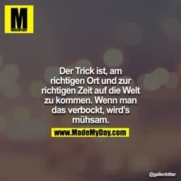 Der Trick ist, am richtigen Ort und zur richtigen Zeit auf die Welt zu kommen. Wenn man das verbockt, wird`s mühsam.