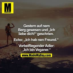 Gestern auf nem Berg gewesen und "Ich liebe dich!" geschrien. Echo: "Ich hab nen Freund." Vorbeifliegender Adler: "Ich b