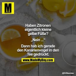 Haben Zitronen eigentlich kleine gelbe Füße?

"Nein.."

Dann hab eich gerade den Kanarienvogel in den Tee gedrückt."