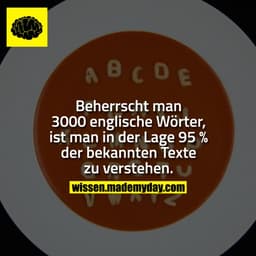 Beherrscht man 3000 englische Wörter, ist man in der Lage 95 % der bekannten Texte zu verstehen.
