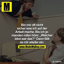 Bin mir oft nicht sicher was ich auf der Arbeit mache. Bis ich jemanden rufen höre: "Welcher Idiot war das?" Dann fällt 