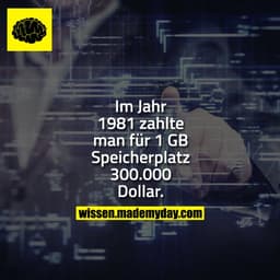Im Jahr 1981 zahlte man für 1 GB Speicherplatz 300.000 Dollar.