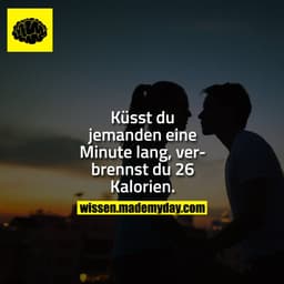Küsst du jemanden eine Minute lang, verbrennst du 26 Kalorien.