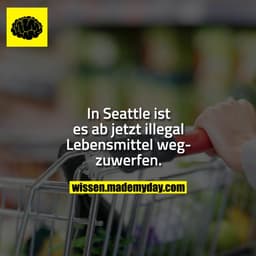 In Seattle ist es ab jetzt illegal Lebensmittel wegzuwerfen.
