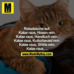 Reisetasche auf.
Katze raus, Hosen rein.
Katze raus, Handtuch rein.
Katze raus, Kulturbeutel rein.
Katze raus, Shirts re