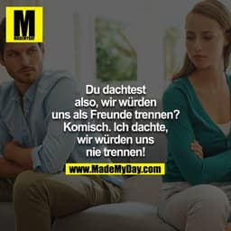 Du dachtest
also, wir würden
uns als Freunde trennen?
Komisch. Ich dachte,
wir würden uns
nie trennen!