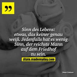 Sinn des Lebens: etwas, das keiner genau weiß. Jedenfalls hat es wenig Sinn, der reichste Mann auf dem Friedhof zu sein.