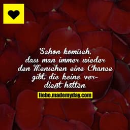 Schon komisch, dass man immer wieder den Menschen eine Chance gibt, die keine verdient hätten.
