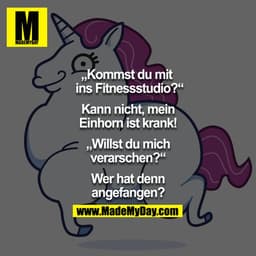 "Kommst du mit ins Fitnessstudio?"- "Kann nicht, mein Einhorn ist krank!" - "Willst du mich verarschen?" - "Wer hat denn