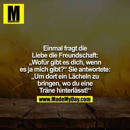 Einmal fragt die Liebe die Freundschaft: "Wofür gibt es dich, wenn es ja mich gibt?" Sie antwortete: "Um dort ein Lächel
