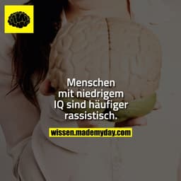 Menschen mit niedrigem IQ sind häufiger rassistisch.