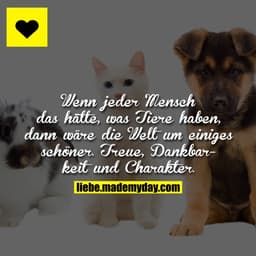 Wenn jeder Mensch das hätte, was Tiere haben, dann wäre die Welt um einiges schöner. Treue, Dankbarkeit und Charakter.
