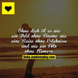 Ohne dich ist es wie ein Wald ohne Bäume, wie eine Reise ohne Erlebnisse und wie ein Foto ohne Kamera.