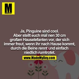 Ja Pinguine sind cool, aber stellt euch mal 'nen 30 cm großen Hauselefanten vor, der sich immer freut, wenn ihr nach Hau