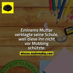 Eminems Mutter verklagte seine Schule, weil diese ihn nicht vor Mobbing schützte.