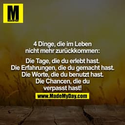 4 Dinge kommen im Leben nicht mehr zurück:

Die Tage, die du erlebt hast.
Die Erfahrungen, die du gemacht hast.
Die Wort