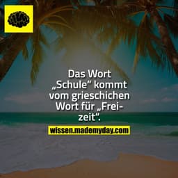 Das Wort „Schule“ kommt vom grieschichen Wort für „Freizeit“.