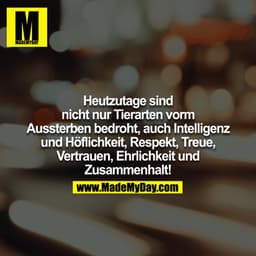 Heutzutage sind nicht nur Tierarten vom Aussterben bedroht, auch Intelligenz und Höflichkeit, Respekt, Treue, Vertrauen,