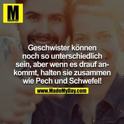 Geschwister können noch so unterschiedlich sein, aber wenn es drauf ankommt, halten sie zusammen wie Pech und Schwefel!

