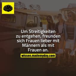 Um Streitigkeiten zu entgehen, freunden sich Frauen lieber mit Männern als mit Frauen an.