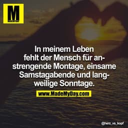 In meinem Leben fehlt der Mensch für anstrengende Montage, einsame Samstagabende und langweilige Sonntage.