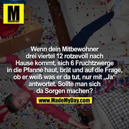 Wenn dein Mitbewohner um dreiviertel 12 rotzevoll nach Hause kommt, sich 6 Fruchtzwerge in die Pfanne haut, brät und auf