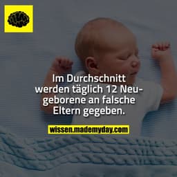 Im Durchschnitt werden täglich 12 Neugeborene an falsche Eltern gegeben.