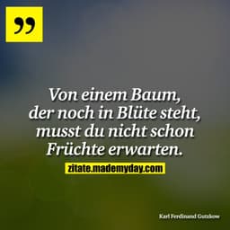 Von einem Baum, der noch in Blüte steht, musst du nicht schon Früchte erwarten.