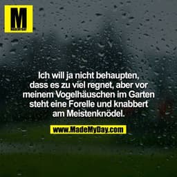 Ich will ja nicht behaupten, dass er zu viel regnet, aber vor meinem Vogelhäuschen im Garten steht eine Forelle und knab