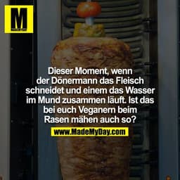 Dieser Moment wenn der Dönermann das Fleisch schneidet und einem das Wasser im Mund zusammen läuft.
Ist das bei euch Veg