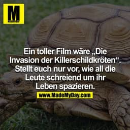 Ein toller Film wäre die Invasion der Killerschildkröten. Stellt euch nur vor wie all die Leute schreiend um ihr Leben s