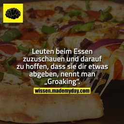 Leuten beim Essen zuzuschauen und darauf zu hoffen, dass sie dir etwas abgeben, nennt man „Groaking“.