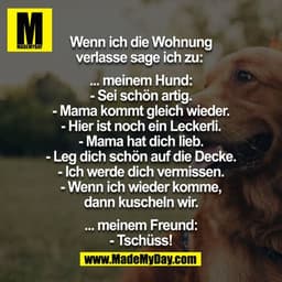 Wenn ich die Wohnung verlasse sage ich zu: 

…meinem Hund:
-sei schön artig
-Mama kommt gleich wieder
-hier ist noch ein