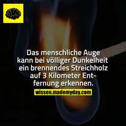 Das menschliche Auge kann bei völliger Dunkelheit ein brennendes Streichholz auf 3 Kilometer Entfernung erkennen.