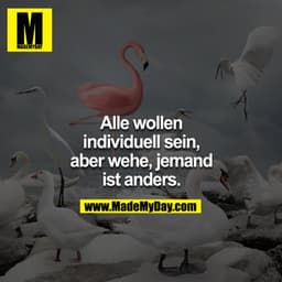 Alle wollen individuell sein, aber wehe, jemand ist anders.
