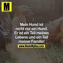 Mein Hund ist nicht nur ein Hund. Er ist ein Teil meines Lebens und ein Teil meiner Familie!