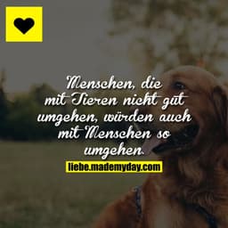Menschen, die mit Tieren nicht gut umgehen, würden auch mit Menschen so umgehen.