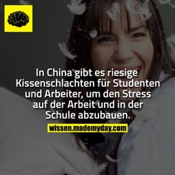 In China gibt es riesige Kissenschlachten für Studenten und Arbeiter, um den Stress auf der Arbeit und in der Schule abz