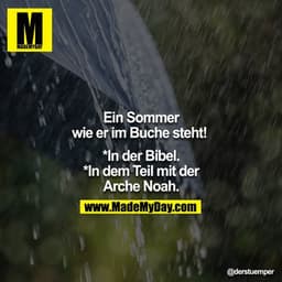 Ein Sommer wie er im Buche steht! 

*in der Bibel
*in dem Teil mit der Arche Noah

