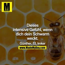 Dieses intensive Gefühl, wenn dich dein Schwarm weckt.

Günther, 53, Imker

