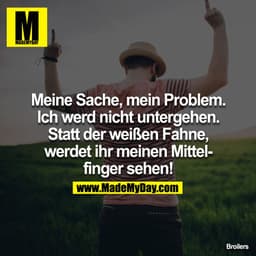 Meine Sache, mein Problem
Ich werd nicht untergehen
Statt der weißen Fahne, werdet ihr
Meinen Mittelfinger sehen!
