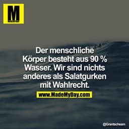 Der menschliche Körper besteht aus 90% Wasser. Wir sind nichts anderes als Salatgurken mit Wahlrecht.