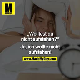 "Wolltest du nicht aufstehen?" - Ja, ich wollte nicht aufstehen!" 